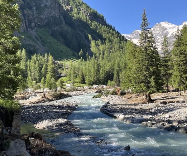 Cogne luglio