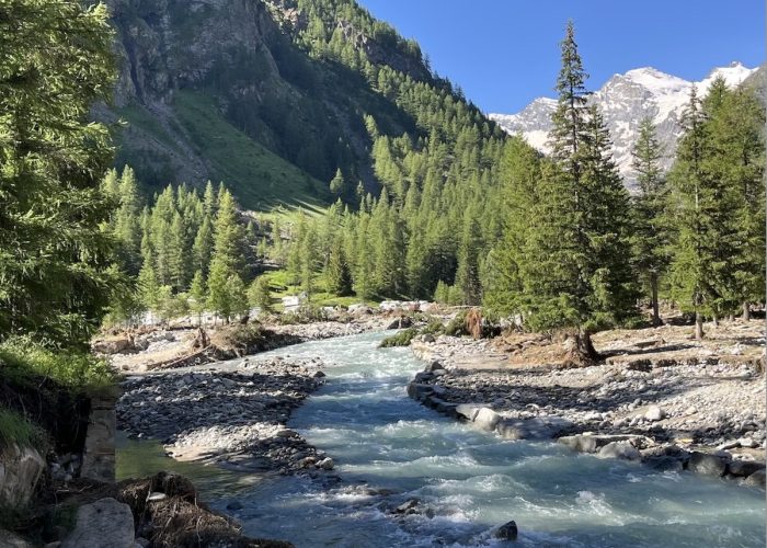 Cogne luglio