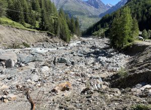 Cogne luglio