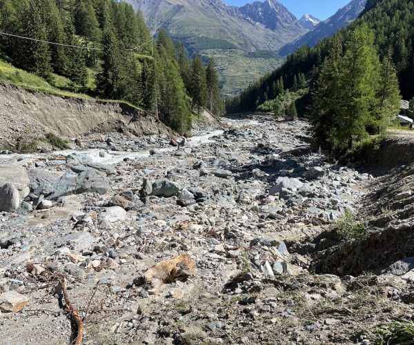 Cogne luglio
