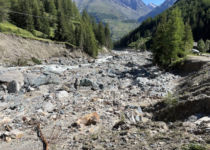 Cogne luglio