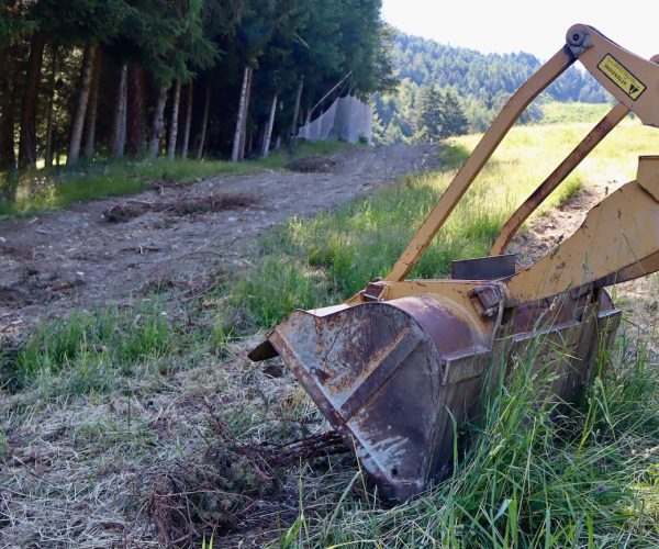 Col de Joux Foto Alice Dufour