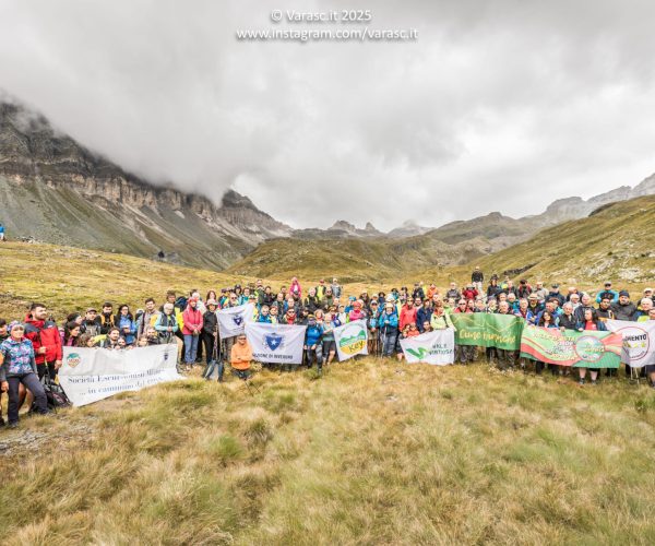 Comitato Cime Bianche