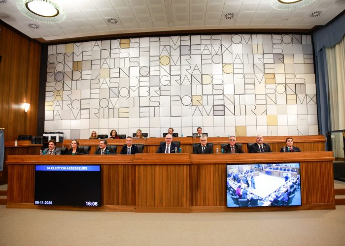 La Giunta regionale guidata da Renzo Testolin