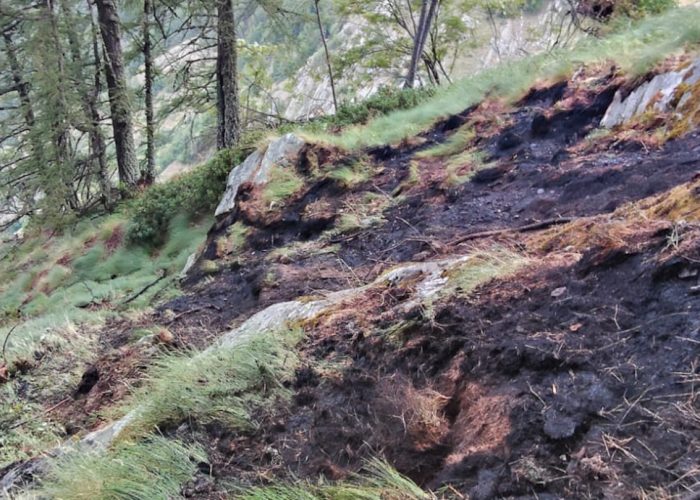 Copertina incendio val d'Ayas