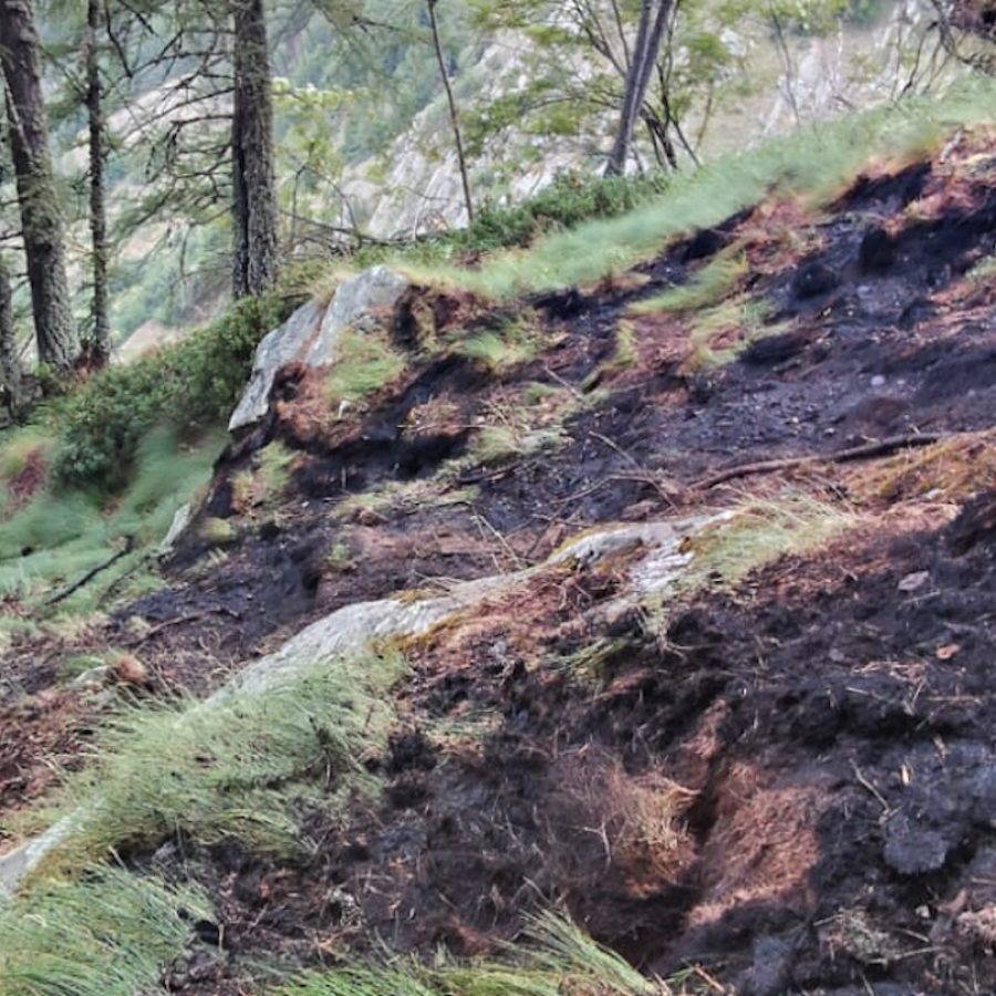 Copertina incendio val d'Ayas