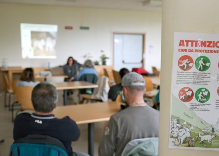 Corso di formazione cani da guardiania