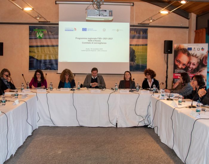 Comitato Sorveglianza FSE+