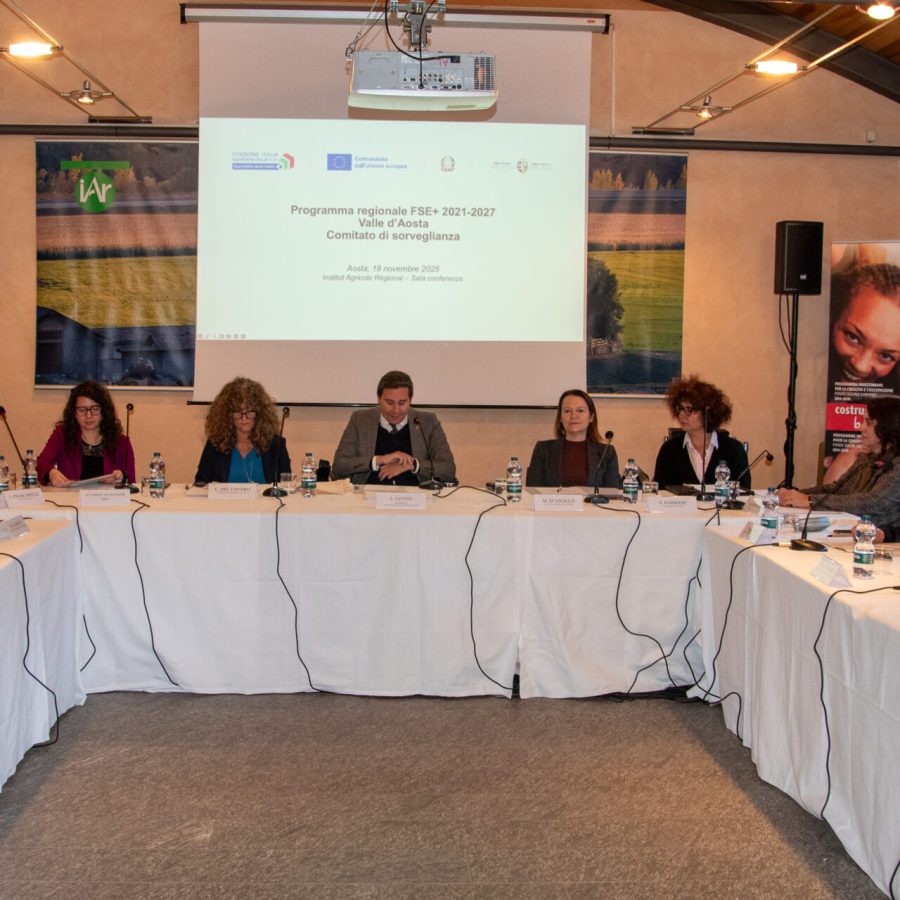 Comitato Sorveglianza FSE+