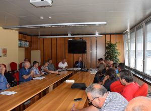 Dall'Assessorato Ambiente parte il rilancio della filiera legno