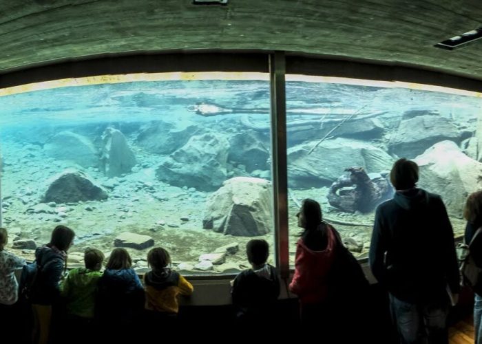 Centro Acqua e Biodiversità