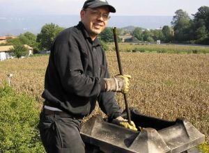 Davide Pandolfini al lavoro