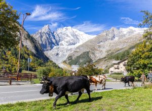 Desarpa Courmayeur Ph M Vignolini Ph M Vignolini