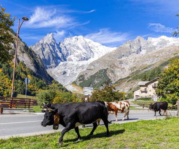 Desarpa Courmayeur Ph M Vignolini Ph M Vignolini