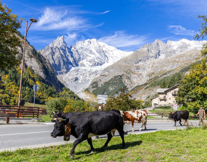 Desarpa Courmayeur Ph M Vignolini Ph M Vignolini