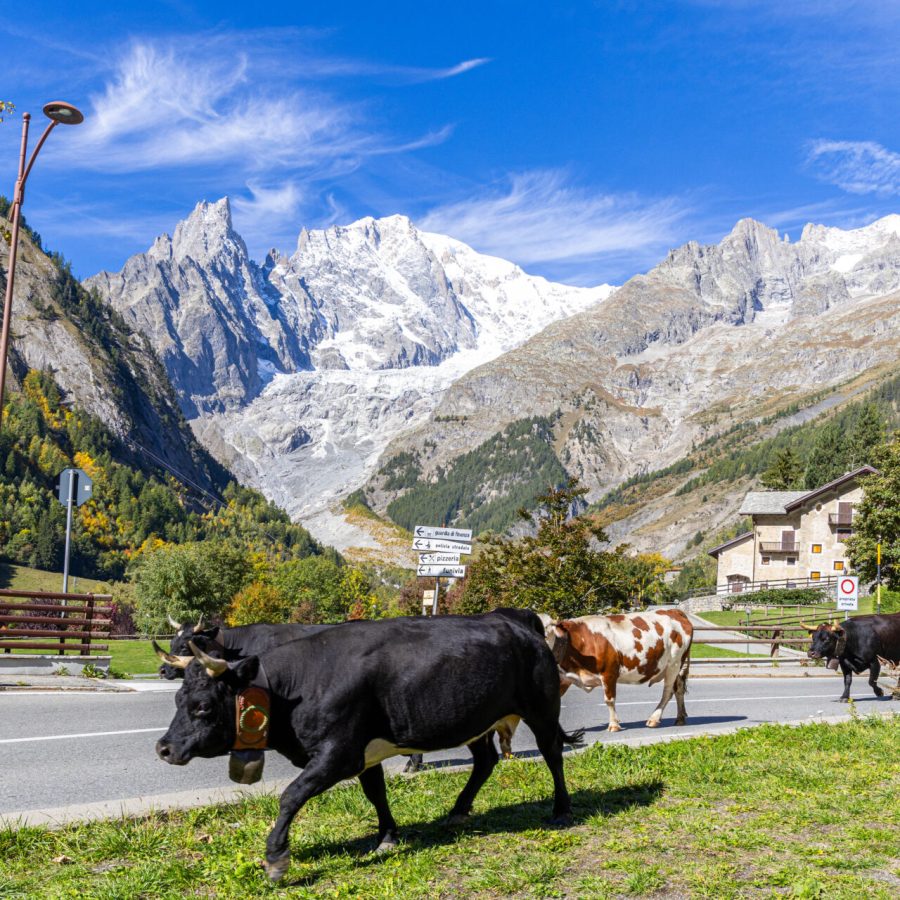 Desarpa Courmayeur Ph M Vignolini Ph M Vignolini