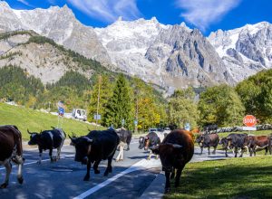 Desarpa Courmayeur Ph M Vignolini Ph M Vignolini