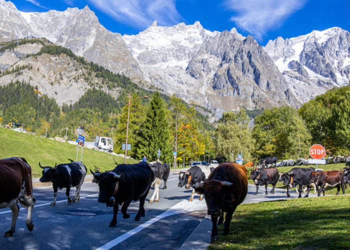 Desarpa Courmayeur Ph M Vignolini Ph M Vignolini