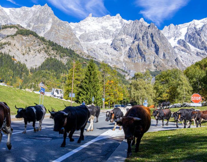 Desarpa Courmayeur Ph M Vignolini Ph M Vignolini