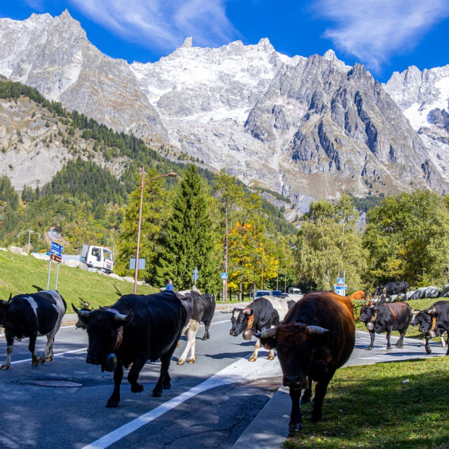 Desarpa Courmayeur Ph M Vignolini Ph M Vignolini