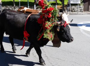 Desarpa Courmayeur Ph M Vignolini Ph M Vignolini