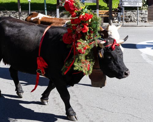 Desarpa Courmayeur Ph M Vignolini Ph M Vignolini