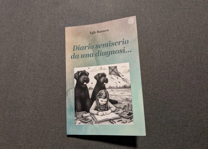 Diario Semiserio da una diagnosi Egle Barocco