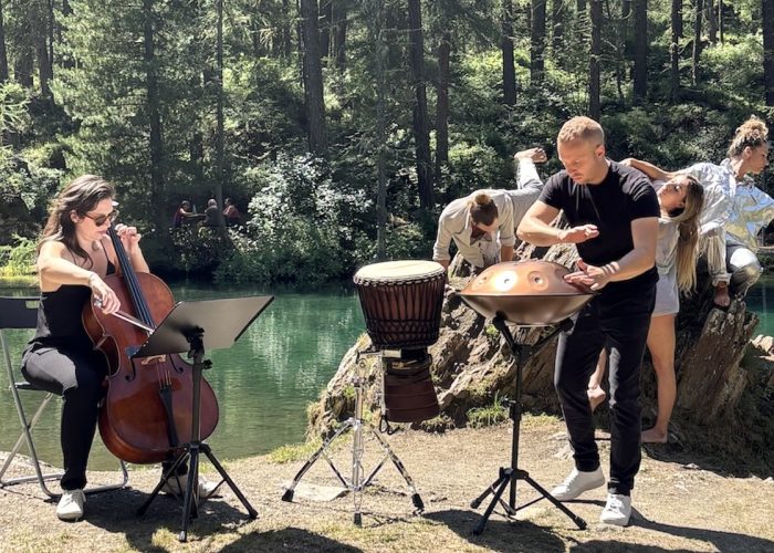 DislocActions le marmotte non dormono