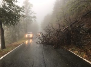 albero caduto sulla strada Talapé