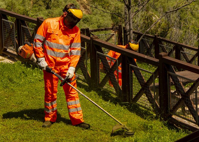 Ecogest Ricerca collaboratori