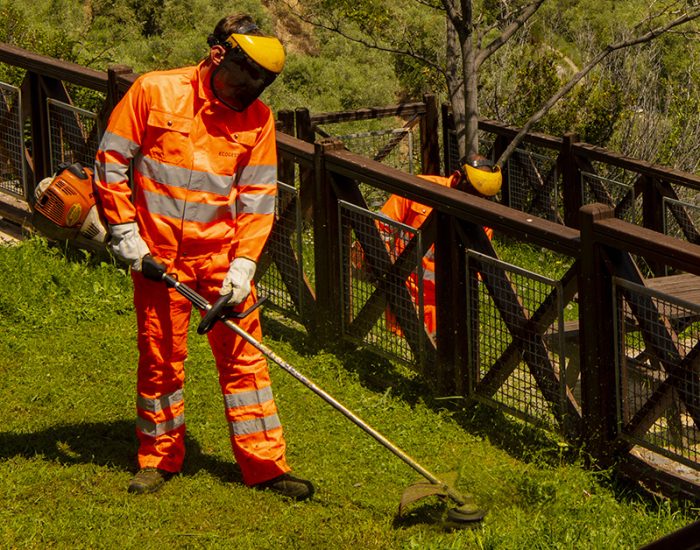 Ecogest Ricerca collaboratori