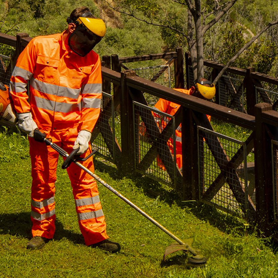 Ecogest Ricerca collaboratori