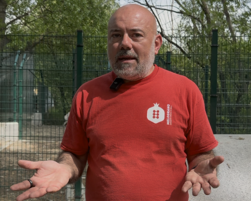 Emanuele Novembre canile e gattile regionale