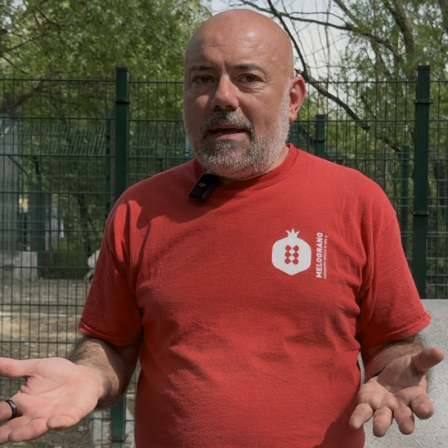 Emanuele Novembre canile e gattile regionale