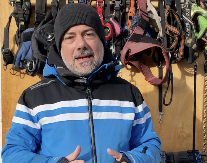 Emanuele Novembre canile e gattile