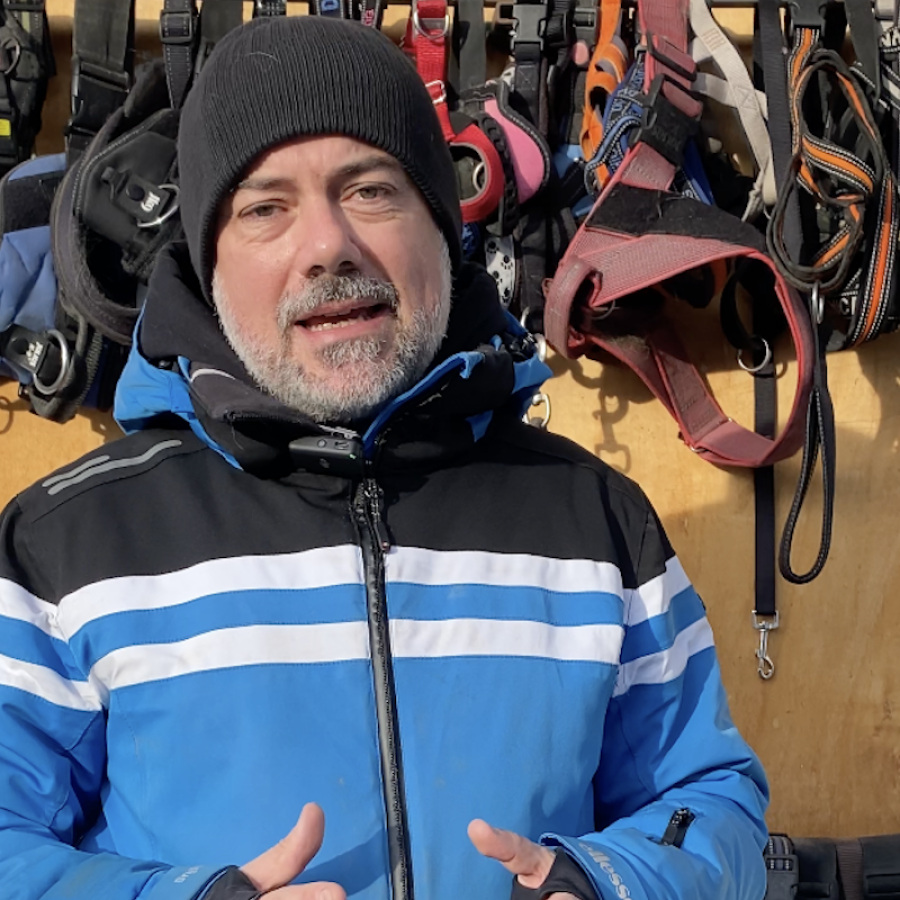 Emanuele Novembre canile e gattile