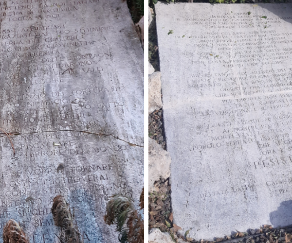 Epigrafe Calamandrei