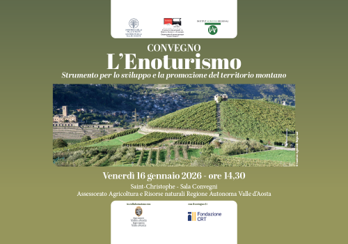 FC Enoturismo AostaSera x NEW