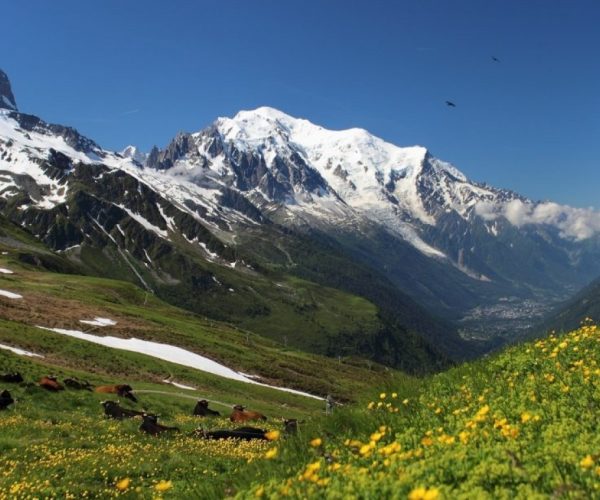 Festival Un grado e mezzo