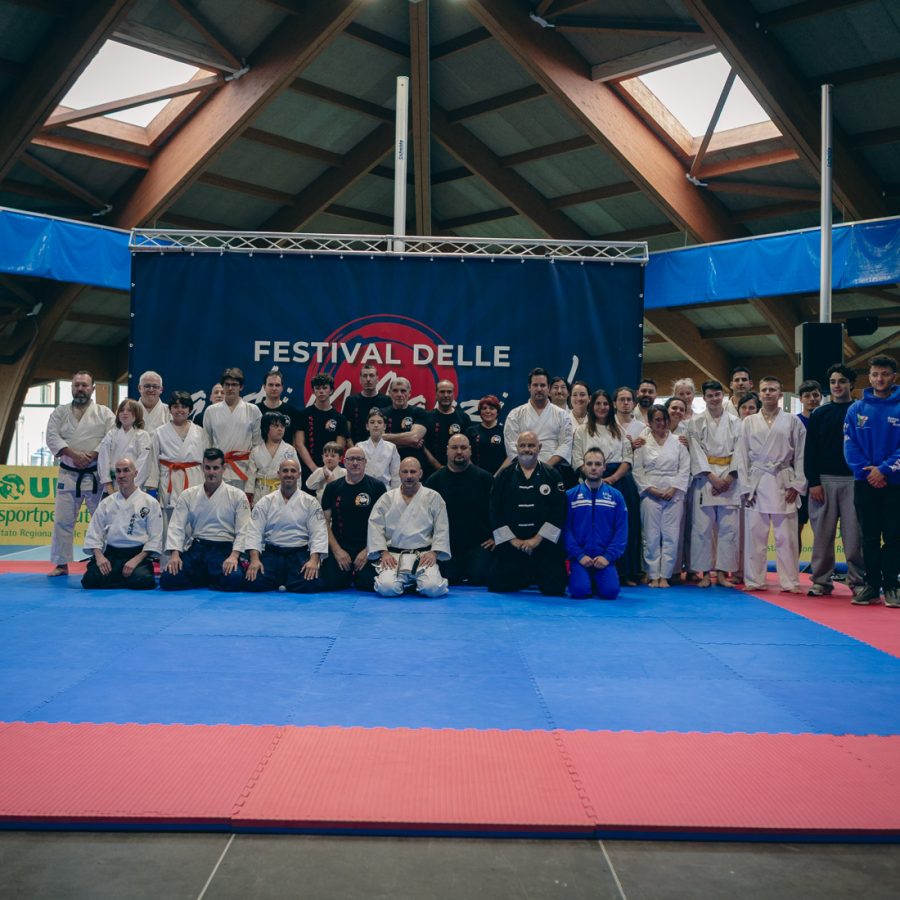 Festival arti marziali Giornata pubblico foto Max Monticone ()