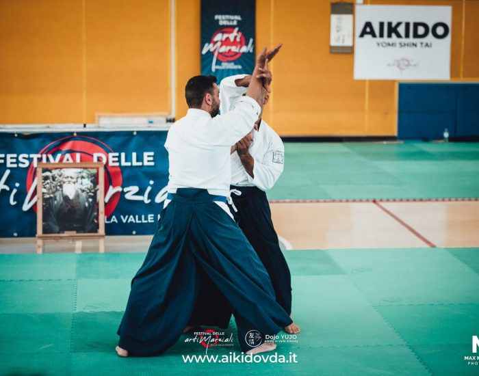 Festival delle Arti Marziali