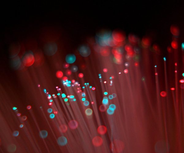 Fibra ottica