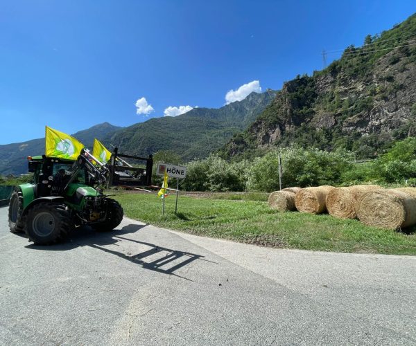 Fieno solidale Coldiretti Asti