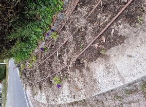 Fiori rotonda Aosta