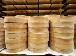 Fontina