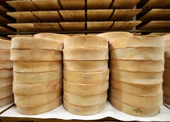Fontina