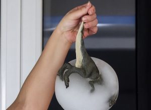 Foto Generation Crash