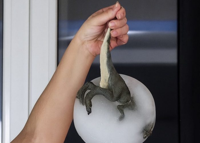 Foto Generation Crash