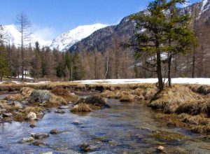 Foto trote Torrente - fiume - pesca - trote - pescatori