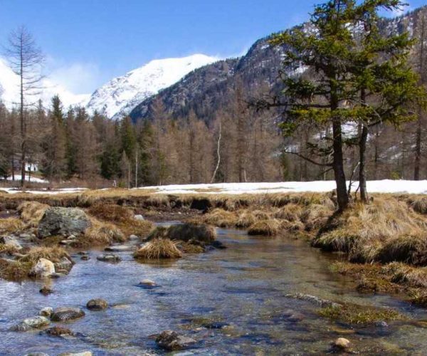 Foto trote Torrente - fiume - pesca - trote - pescatori